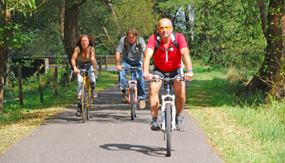 Radfahrer im Dahner Felsenland