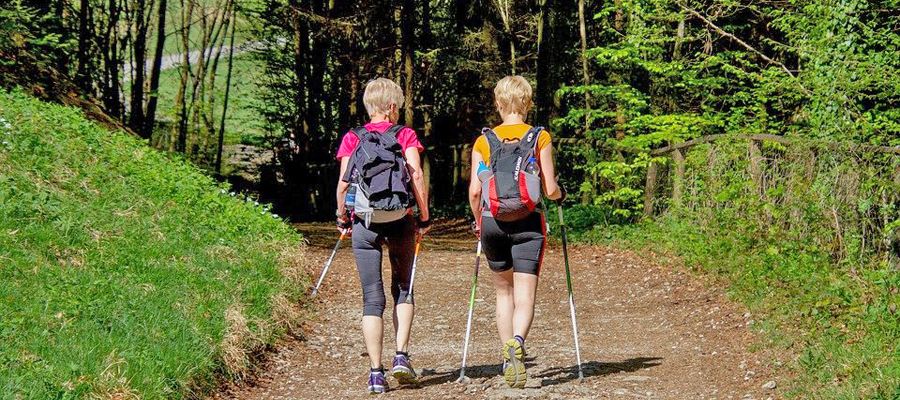 Nordic-Walking Touren Nothweiler